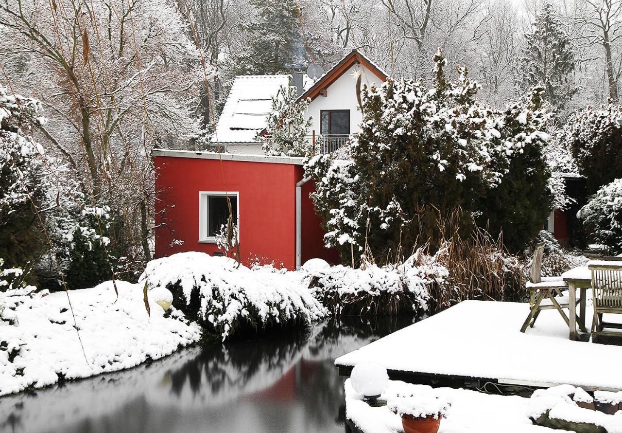 Haus Mit Kunst Zwischen Wald Und See Leipzig Exterior photo